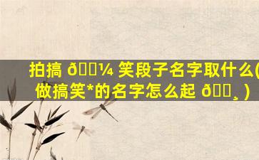 拍搞 🐼 笑段子名字取什么(做搞笑*
的名字怎么起 🕸 )